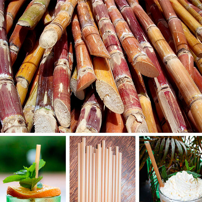 La Kana Paille la paille en canne à sucre (la plus naturelle) - Kreyol  Pailles